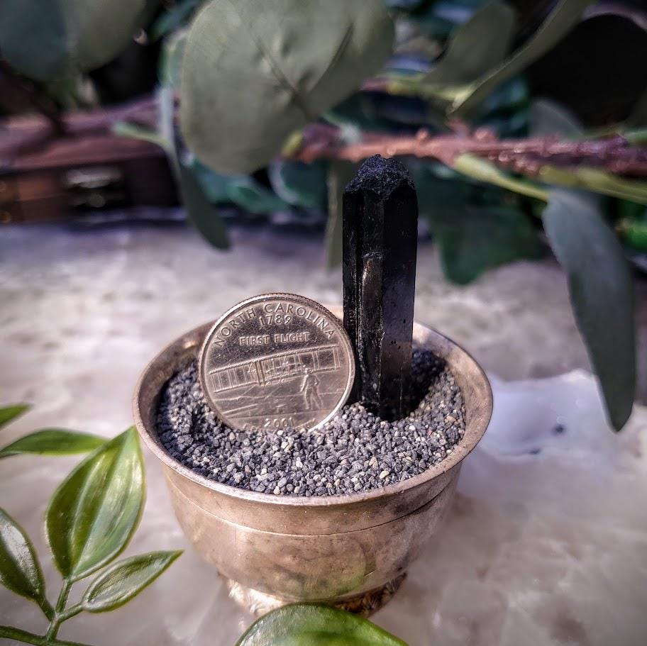 1.75" Glossy Black Aegirine Crystal Rod from Malawi, Africa for Crystal Healing / 9.35g / Home & Altar Decor