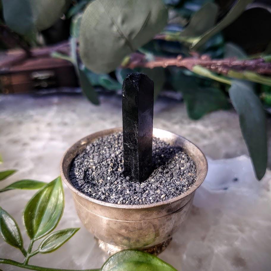 1.75" Glossy Black Aegirine Crystal Rod from Malawi, Africa for Crystal Healing / 9.35g / Home & Altar Decor