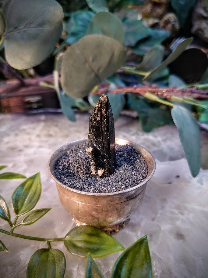 1.875" Glossy Black Aegirine Crystal Rod from Malawi, Africa for Crystal Healing / 11.11g / Home & Altar Decor