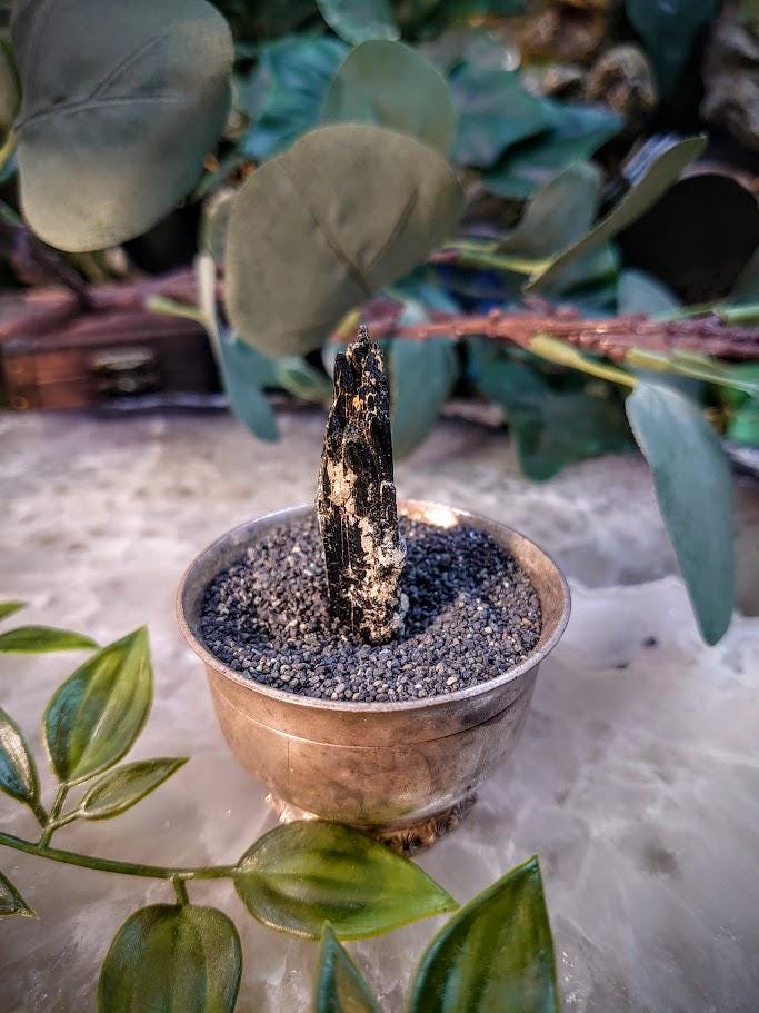 1.875" Glossy Black Aegirine Crystal Rod from Malawi, Africa for Crystal Healing / 11.11g / Home & Altar Decor
