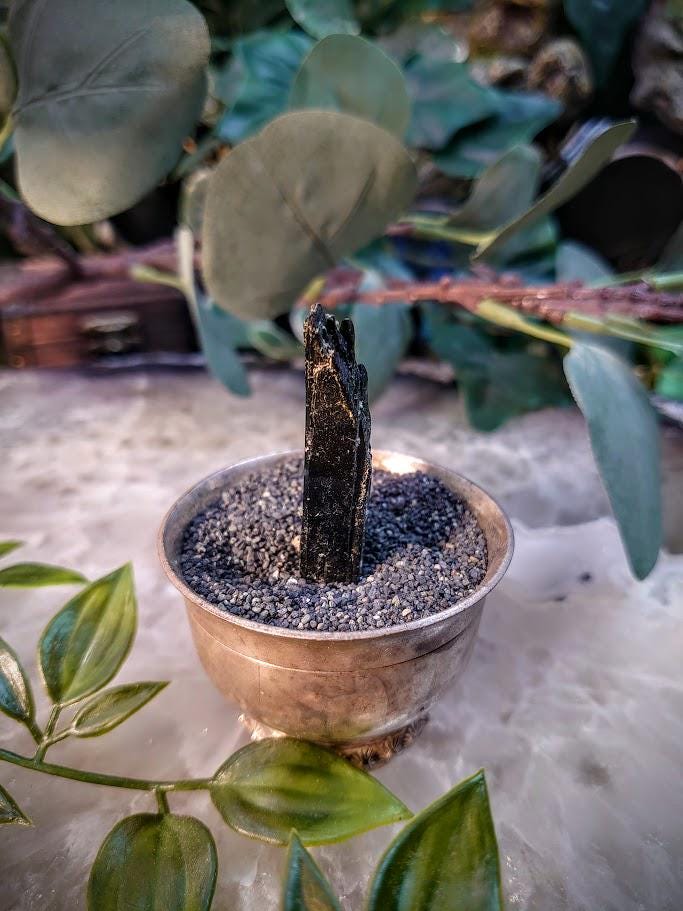 1.875" Glossy Black Aegirine Crystal Rod from Malawi, Africa for Crystal Healing / 11.11g / Home & Altar Decor