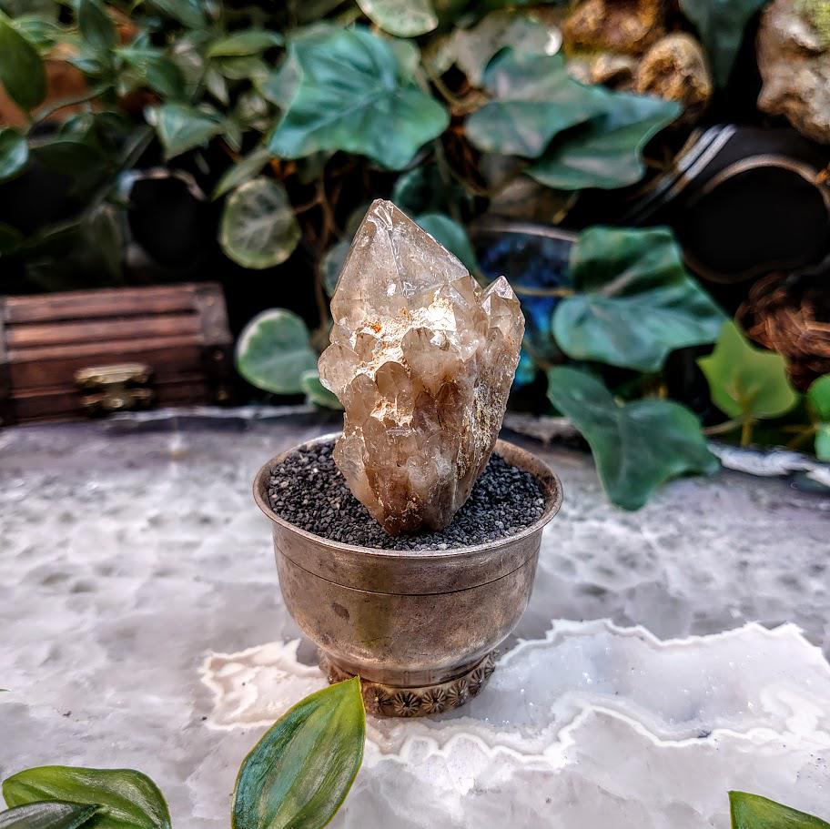 Natural Kundalini Congo Citrine Cluster for Altar and Home Decor / 59.39g / Energy Work / Crystal Healing / Reiki