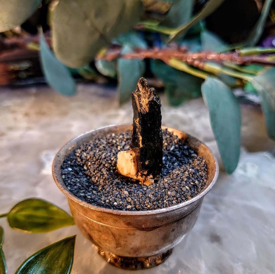 1.5" Glossy Black Aegirine Crystal from Malawi, Africa for Crystal Healing / 5.58g / Home & Altar Decor