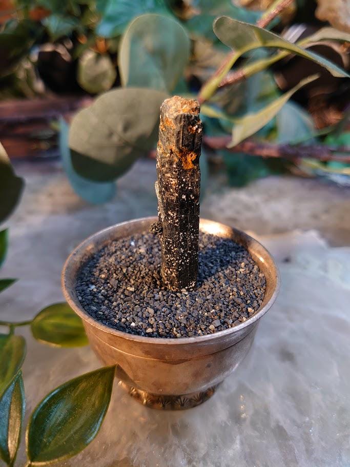 2" Glossy Black Aegirine Crystal Rod from Malawi, Africa for Crystal Healing / 9.52g / Home and Altar Decor / Negative Protection