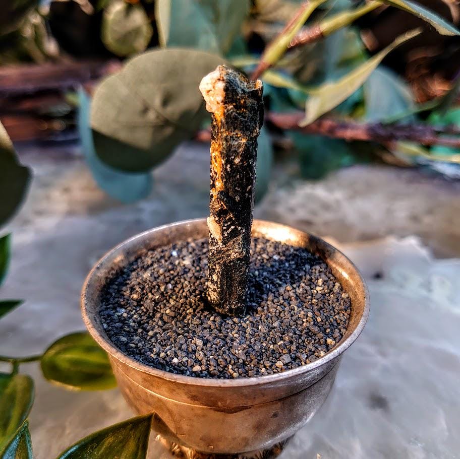2" Glossy Black Aegirine Crystal Rod from Malawi, Africa for Crystal Healing / 9.52g / Home and Altar Decor / Negative Protection