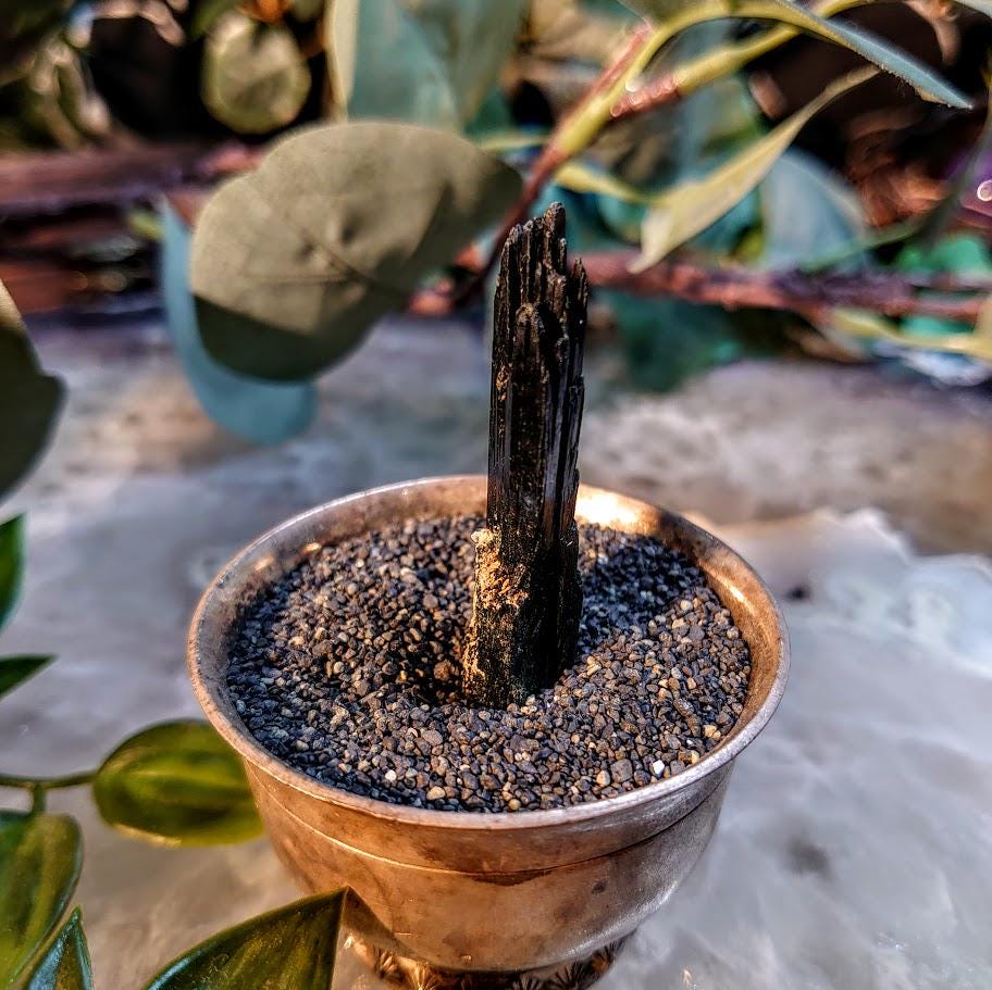 2" Glossy Black Aegirine Crystal Rod from Malawi, Africa for Crystal Healing / 9.13g / Home and Altar Decor / Negative Protection