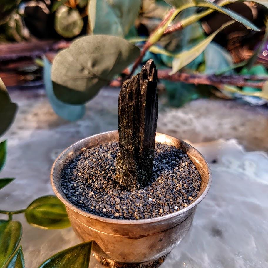 2" Glossy Black Aegirine Crystal Rod from Malawi, Africa for Crystal Healing / 9.13g / Home and Altar Decor / Negative Protection