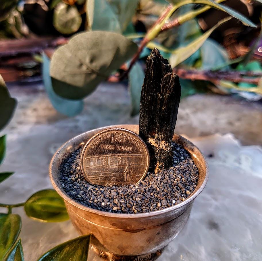 2" Glossy Black Aegirine Crystal Rod from Malawi, Africa for Crystal Healing / 9.13g / Home and Altar Decor / Negative Protection