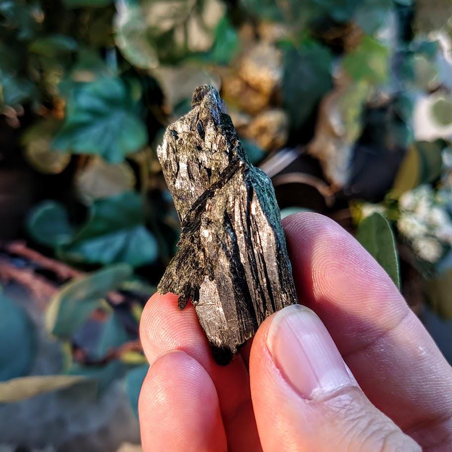 2.25" Glossy Black Aegirine Crystal Rod from Malawi, Africa for Crystal Healing / 23.40g / Home and Altar Decor / Negative Protection