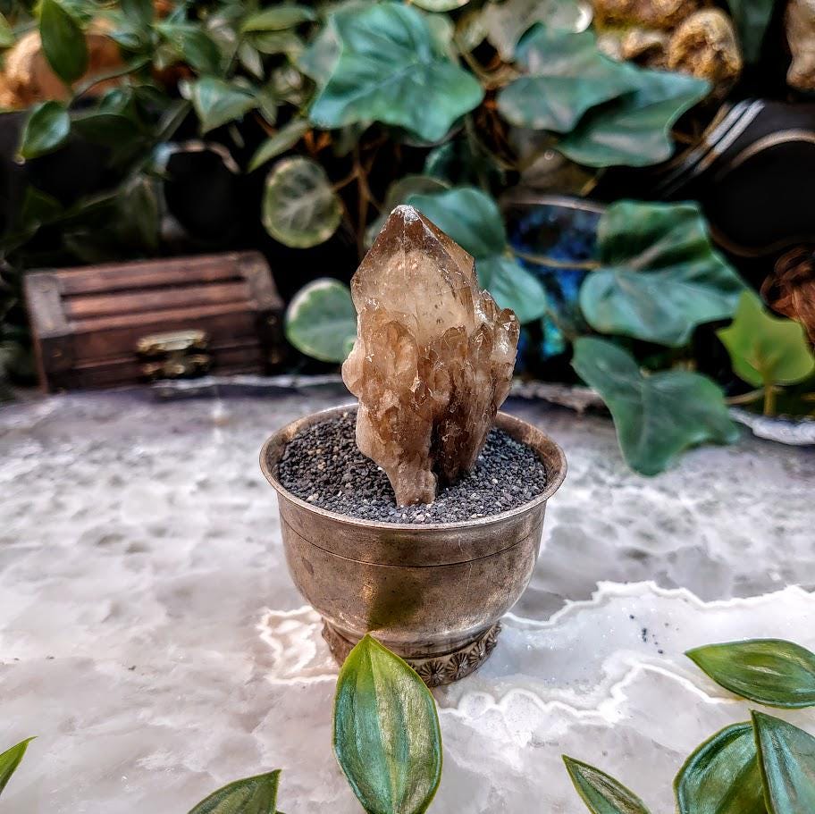 Natural Kundalini Congo Citrine Cluster for Altar and Home Decor / 57.06g / Energy Work / Crystal Healing / Reiki