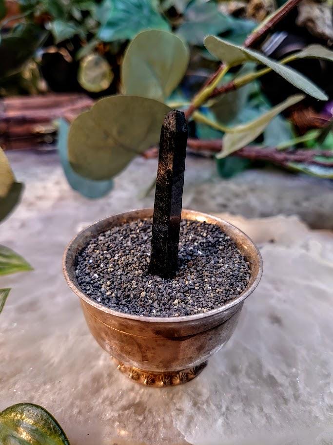 2" Glossy Black Aegirine Crystal Rod from Malawi, Africa for Crystal Healing / 4.86g / Home and Altar Decor / Negative Protection