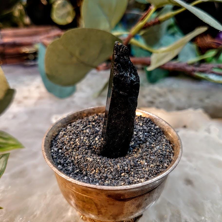 1.875" Glossy Black Aegirine Crystal Rod from Malawi, Africa for Crystal Healing / 9.90g / Home and Altar Decor / Negative Protection