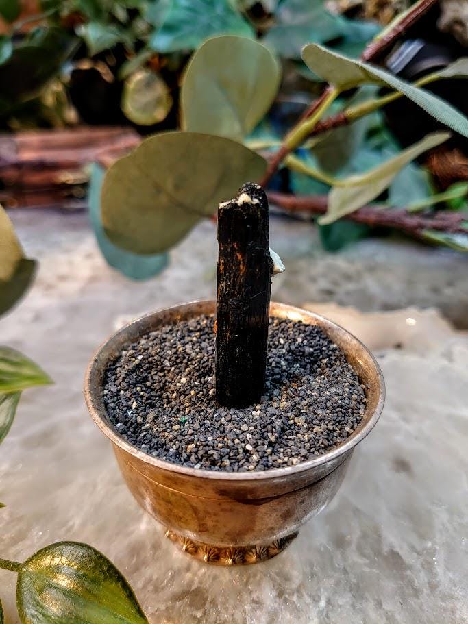 1.75" Glossy Black Aegirine Crystal Rod from Malawi, Africa for Crystal Healing / 8.24g / Home & Altar Decor
