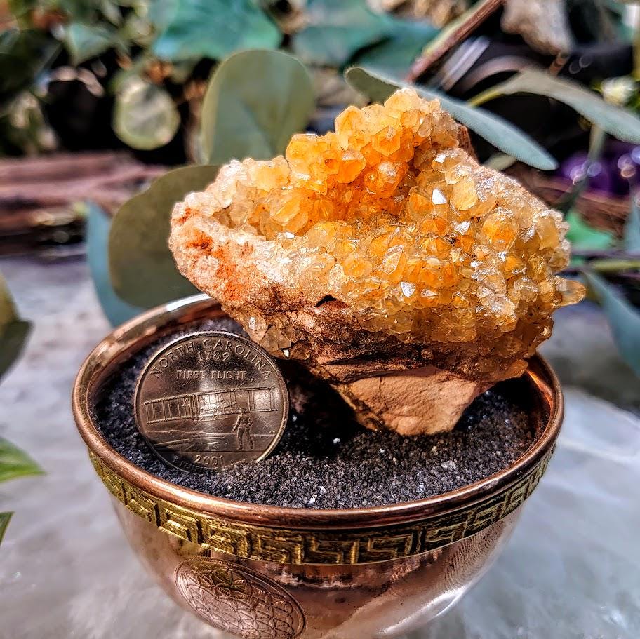 Natural Limonite Golden Healer Quartz/Citrine Cluster on Limestone from Zambia, Africa for Crystal Healing / 106.61g / Reiki / Home Decor