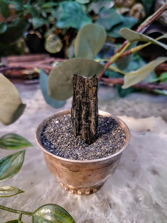 1.75" Glossy Black Aegirine Crystal Rod from Malawi, Africa for Crystal Healing / 10.00g / Home & Altar Decor