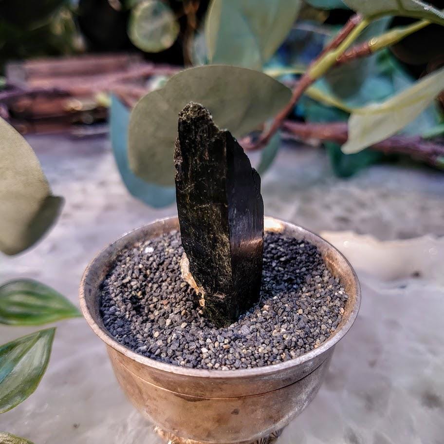 1.75" Glossy Black Aegirine Crystal Rod from Malawi, Africa for Crystal Healing / 16.95g / Home & Altar Decor