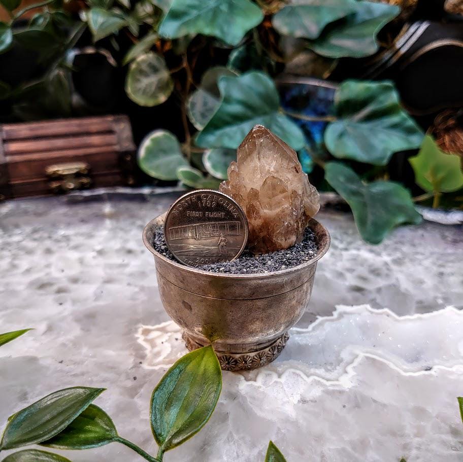 Natural Kundalini Congo Citrine Cluster for Altar and Home Decor / 30.53g / Energy Work / Crystal Healing / Reiki