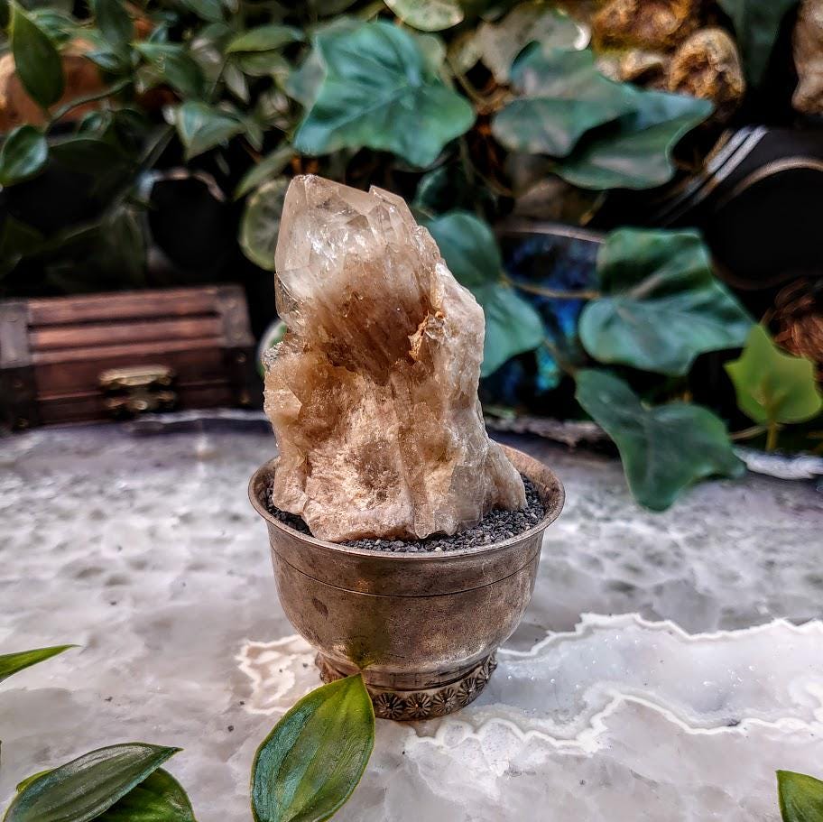 Natural Kundalini Congo Citrine Cluster for Altar and Home Decor / 63.43g / Energy Work / Crystal Healing / Reiki