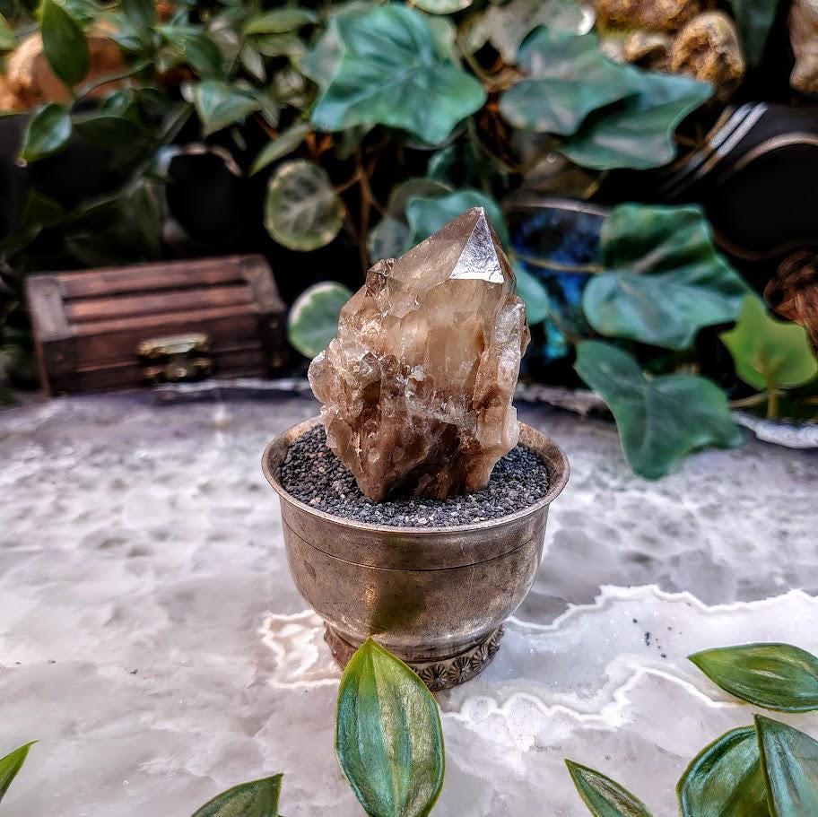 Natural Kundalini Congo Citrine Cluster for Altar and Home Decor / 57.06g / Energy Work / Crystal Healing / Reiki