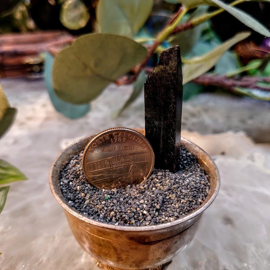 1.875" Glossy Black Aegirine Crystal Rod from Malawi, Africa for Crystal Healing / 9.90g / Home and Altar Decor / Negative Protection