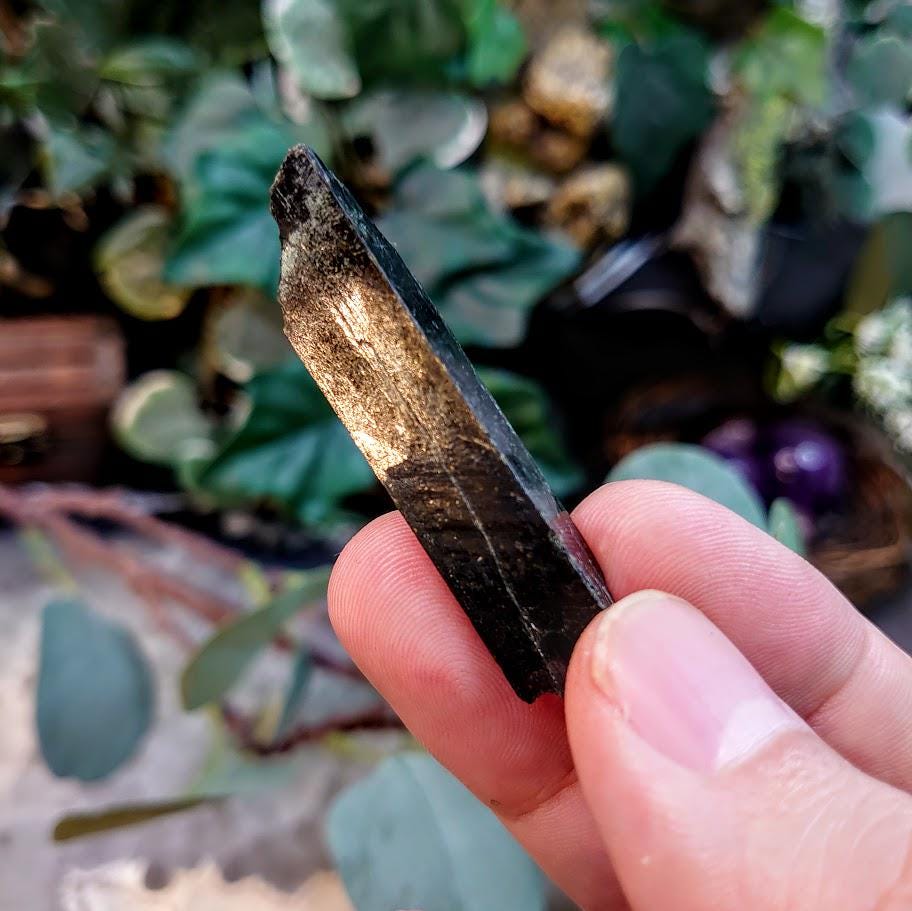 1.875" Glossy Black Aegirine Crystal Rod from Malawi, Africa for Crystal Healing / 9.90g / Home and Altar Decor / Negative Protection