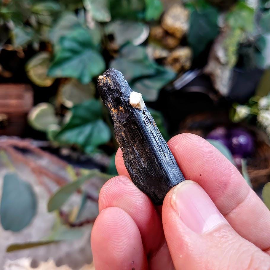 1.75" Glossy Black Aegirine Crystal Rod from Malawi, Africa for Crystal Healing / 8.24g / Home & Altar Decor