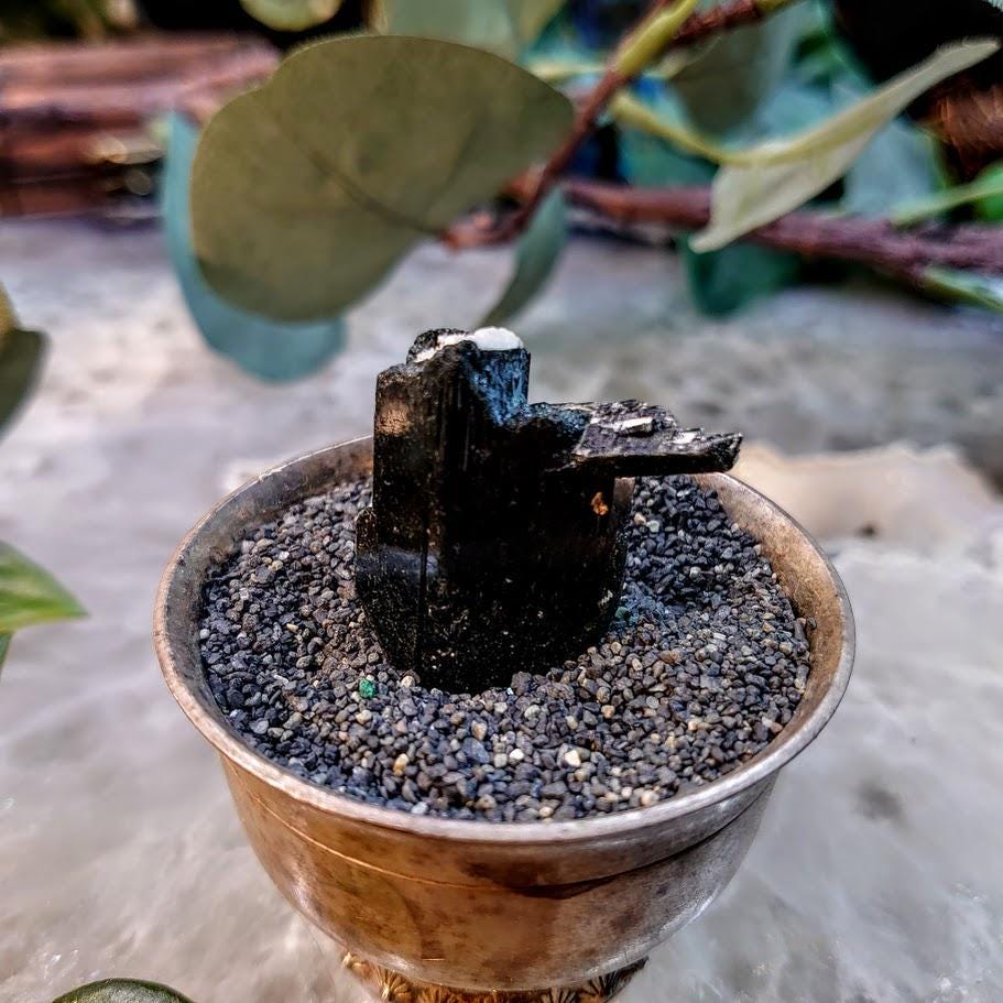 1" Glossy Black Aegirine Crystal from Malawi, Africa for Crystal Healing / 13.00g / Home & Altar Decor