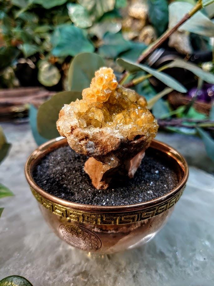 Natural Limonite Golden Healer Quartz/Citrine Cluster on Limestone from Zambia, Africa for Crystal Healing / 106.61g / Reiki / Home Decor