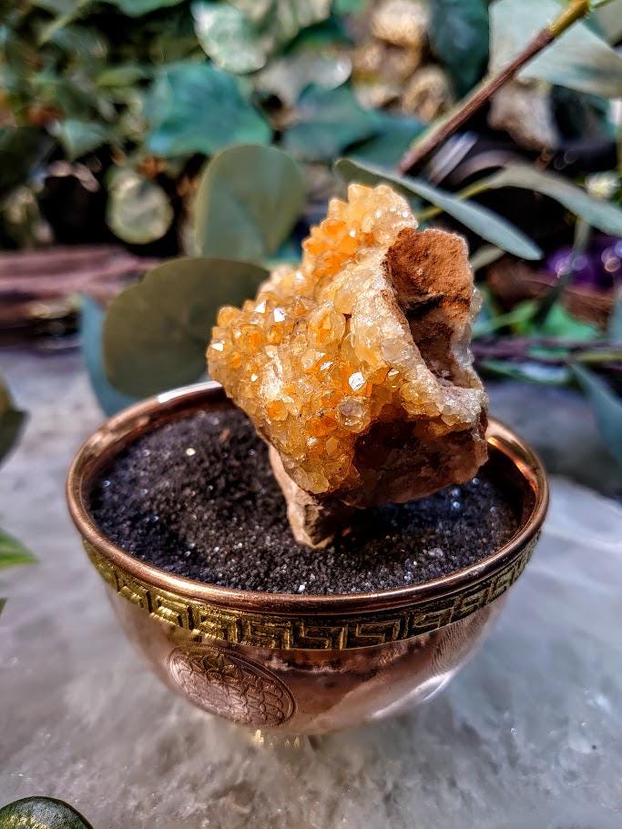 Natural Limonite Golden Healer Quartz/Citrine Cluster on Limestone from Zambia, Africa for Crystal Healing / 106.61g / Reiki / Home Decor