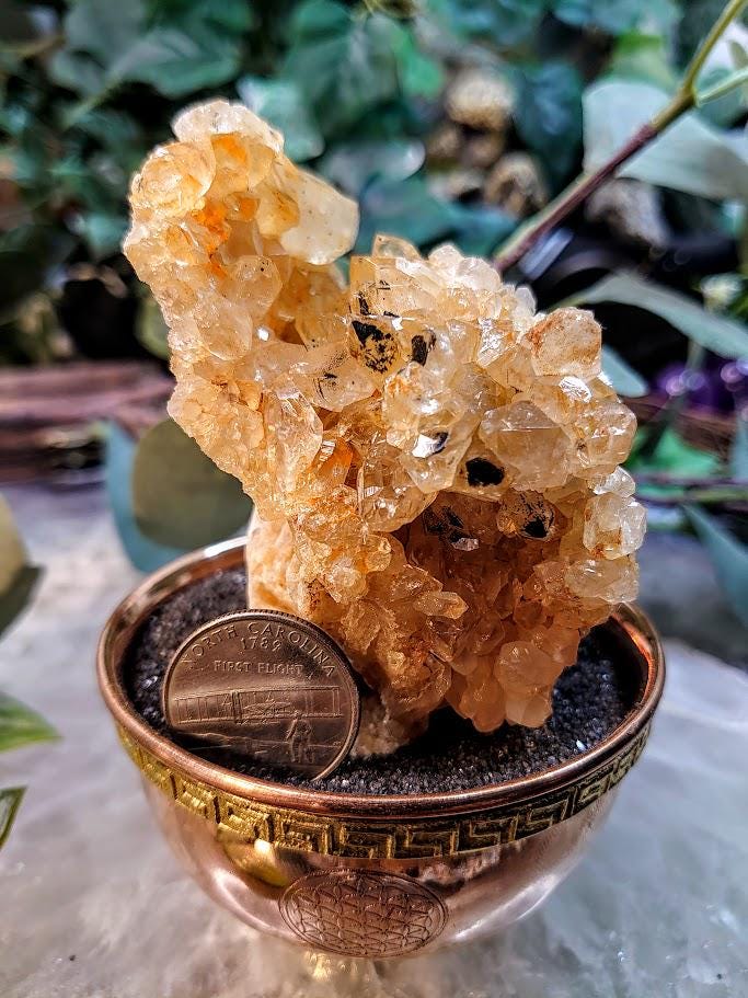Natural Limonite Golden Healer Quartz/Citrine Cluster on Limestone from Zambia, Africa for Crystal Healing / 197g / Reiki / Home Decor