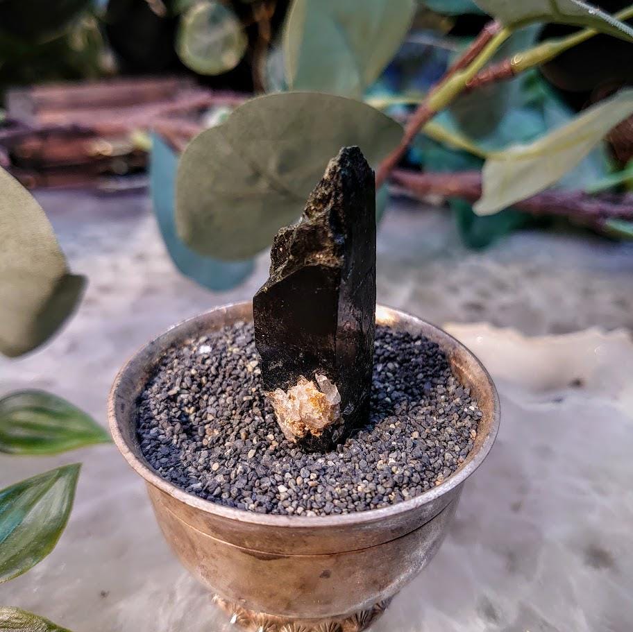 1.75" Glossy Black Aegirine Crystal Rod from Malawi, Africa for Crystal Healing / 16.95g / Home & Altar Decor