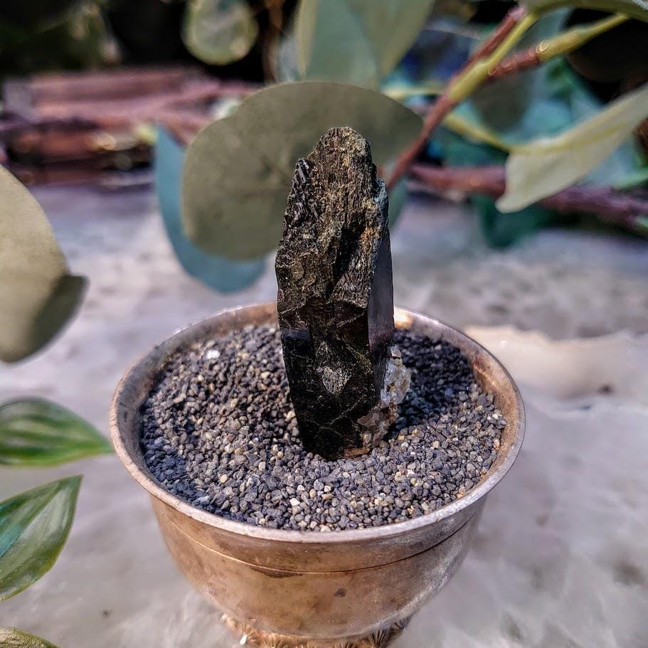 1.75" Glossy Black Aegirine Crystal Rod from Malawi, Africa for Crystal Healing / 16.95g / Home & Altar Decor