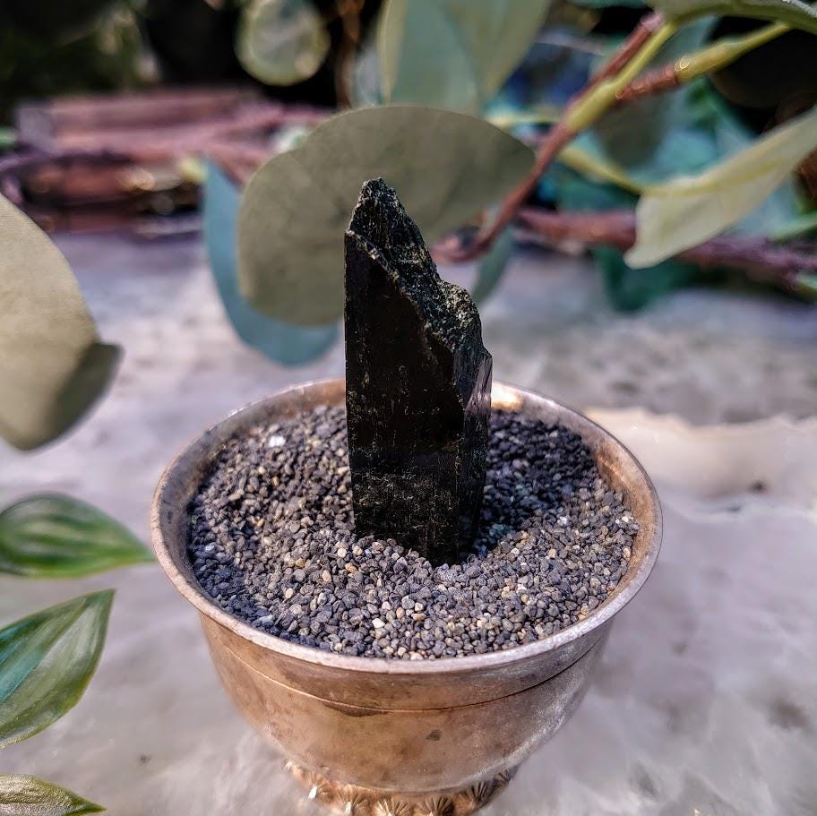 1.75" Glossy Black Aegirine Crystal Rod from Malawi, Africa for Crystal Healing / 16.95g / Home & Altar Decor