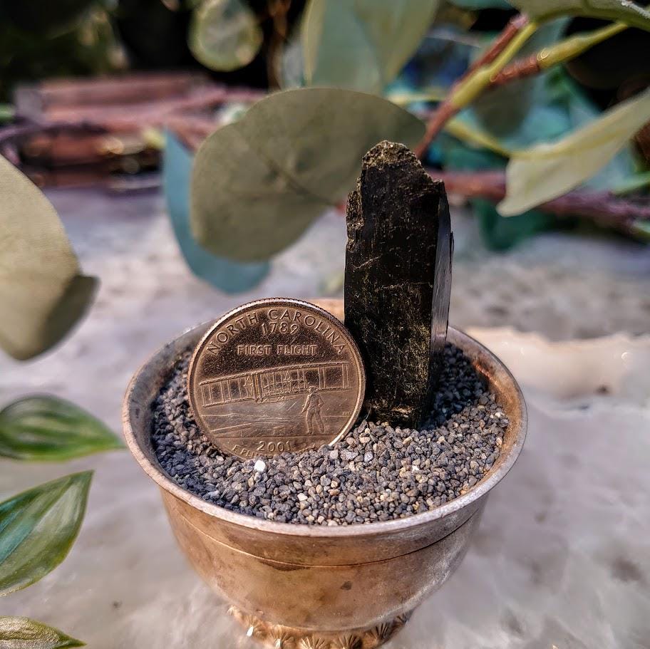 1.75" Glossy Black Aegirine Crystal Rod from Malawi, Africa for Crystal Healing / 16.95g / Home & Altar Decor