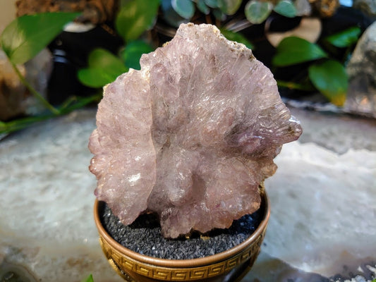 168g Amethyst Cluster with Water Etching and Black Tourmaline from Karur, India for Meditation / Collection/ Home & Altar Decor / Collection