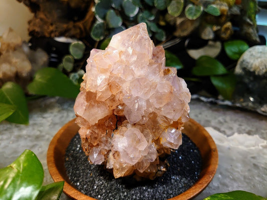 654g Spirit Quartz Hematoid Cluster from ZA / Cactus Quartz / Spirit Amethyst for Crystal Healing / Meditation/ Reiki / Gifting