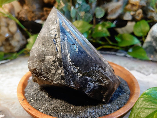814g Large Skeletal Morion Quartz Point from Minas Gerais, Brazil for Collection / Black Quartz / Home & Altar Decor