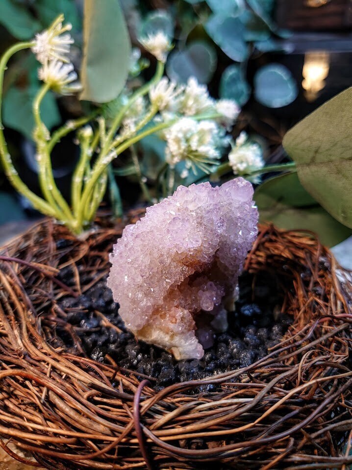 68g Spirit Quartz Cluster from ZA / Cactus Quartz / Spirit Amethyst for Crystal Healing / Meditation/ Reiki / Gifting