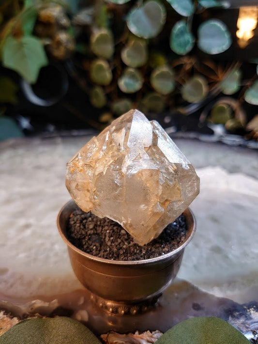 70.6g Skeletal Window Quartz Point from Morocco for Crystal Grids / Collection / Crystal Healing / ISH#019