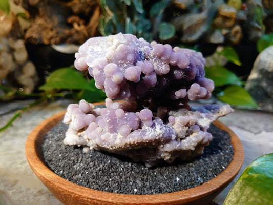 368g Grape Agate Cluster from Sulawesi, Indonesia for Collection / Crystal Healing / Gemstone Home and Altar Decor / Reiki/ Meditation
