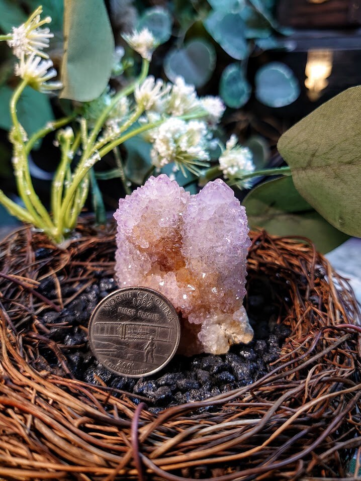 68g Spirit Quartz Cluster from ZA / Cactus Quartz / Spirit Amethyst for Crystal Healing / Meditation/ Reiki / Gifting
