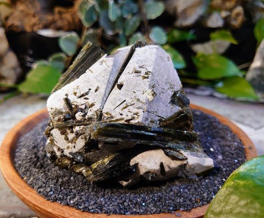 342g Natural Green Tourmaline and Epidote Rod Cluster on Quartz from Minas Gerais, Brazil for Home & Altar Decor / Collection / Unique