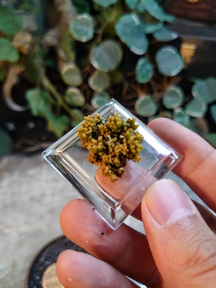 Green Pyromorphite on Calcite from China / Thumbnail Specimen / for Desk Decor / Meditation / Reiki / Collection