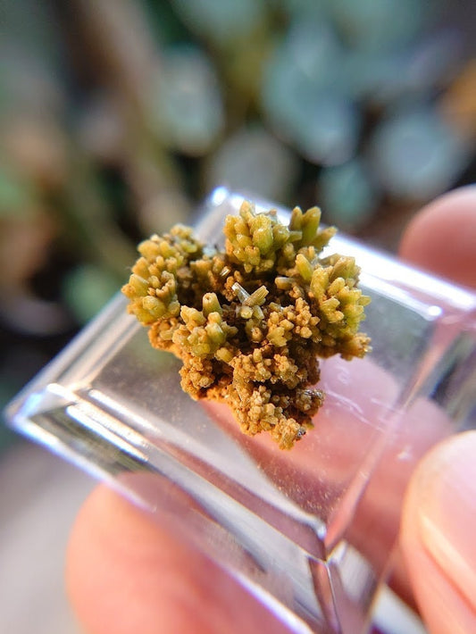 Green Pyromorphite on Calcite from China / Thumbnail Specimen / for Desk Decor / Meditation / Reiki / Collection