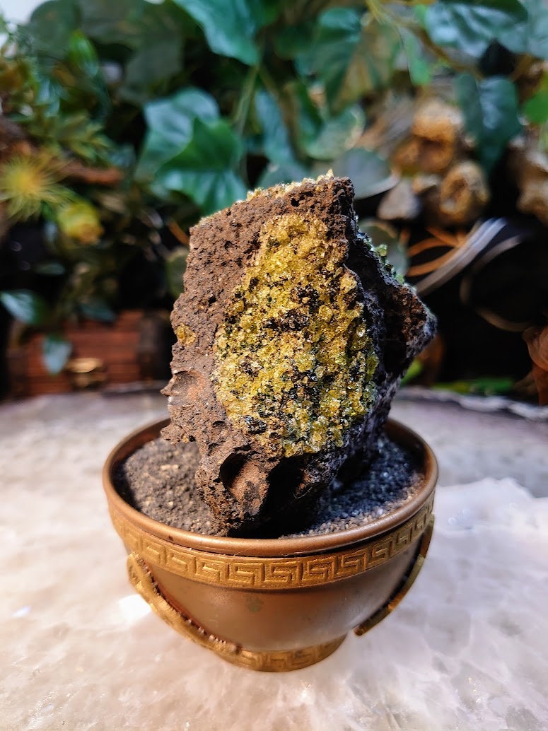 Peridot Druzy with Black Tourmaline on Basalt from Arizona for Home and Altar Decor / 230g / Meditation / Reiki / Gifting / Collection