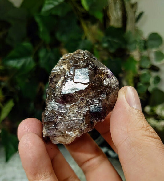 Shangaan Elestial Smoky Amethyst Cluster with Double Enhydro from Zimbabwe for Collection / 90g / Meditation/ Crafting /