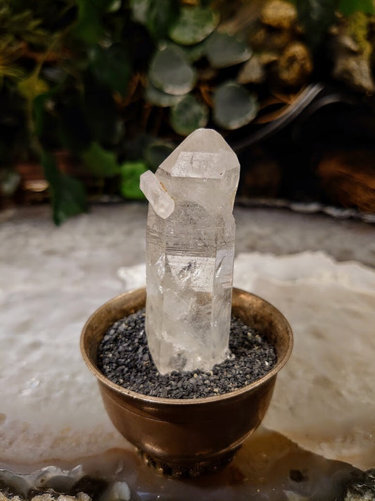 2 3/4" Colombian Clear Quartz Point with Dolphin for Collection / 42.4g / Natural Clear Quartz / Crystal Grids / Meditation / Reiki