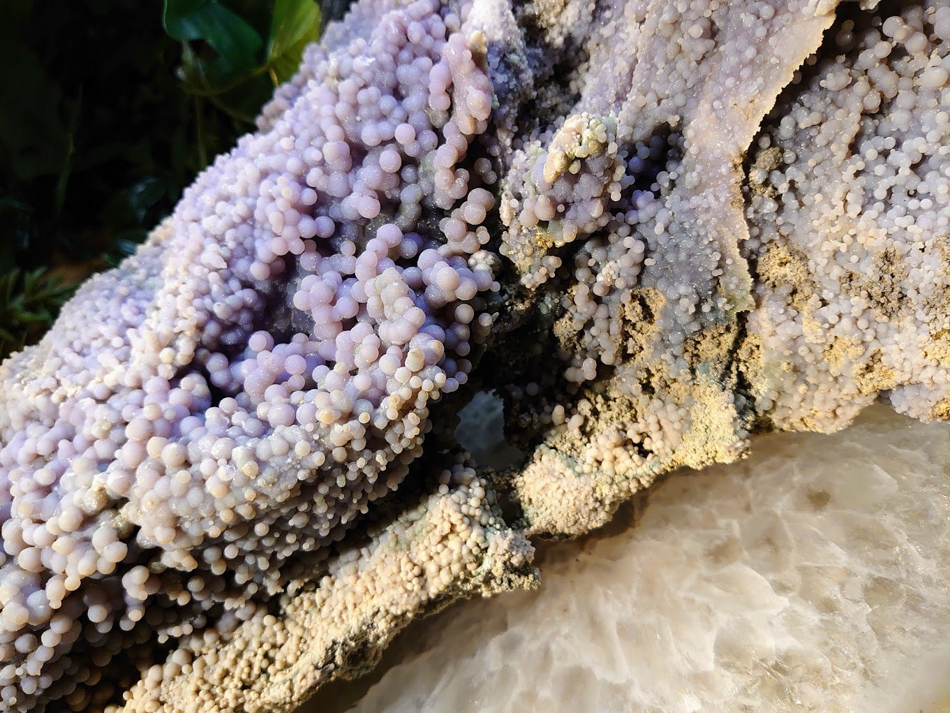 Massive "The Monster" Grape Agate Cluster with Formations on All Sides from Sulawesi Island, Indonesia / 6,595g / Collection / Large Cabinet