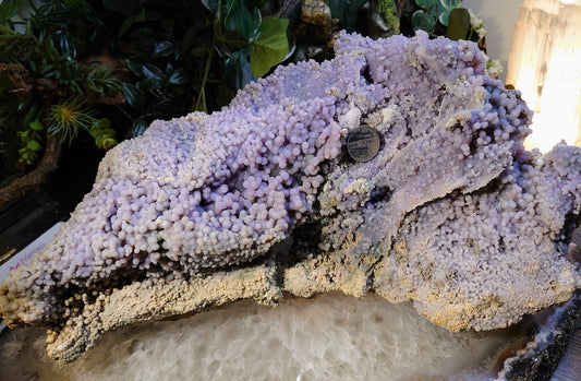 Massive "The Monster" Grape Agate Cluster with Formations on All Sides from Sulawesi Island, Indonesia / 6,595g / Collection / Large Cabinet