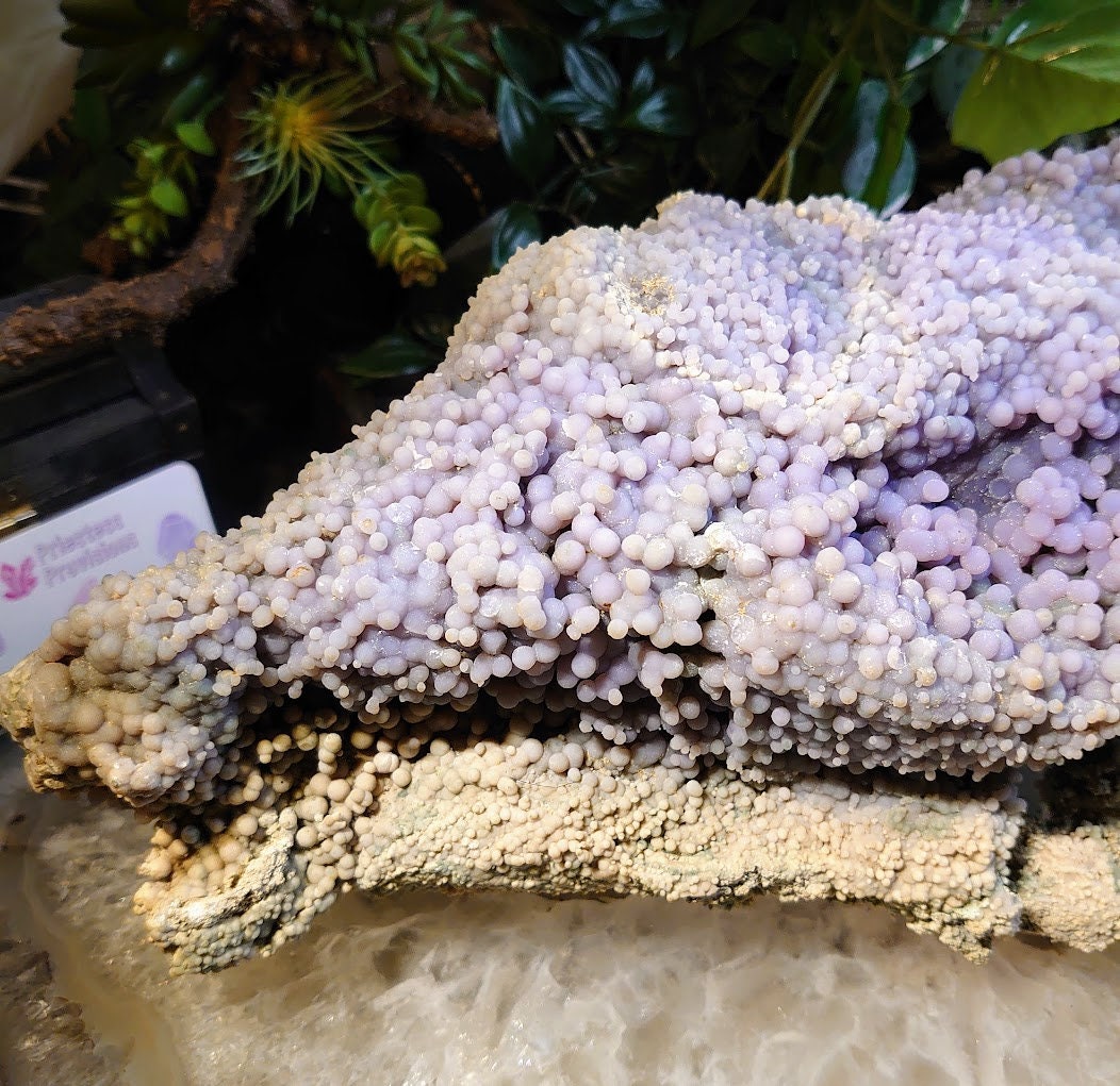 Massive "The Monster" Grape Agate Cluster with Formations on All Sides from Sulawesi Island, Indonesia / 6,595g / Collection / Large Cabinet